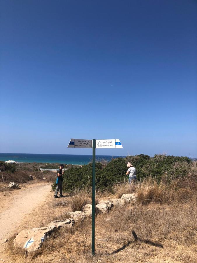 Atlit Rooftop Glamping מראה חיצוני תמונה